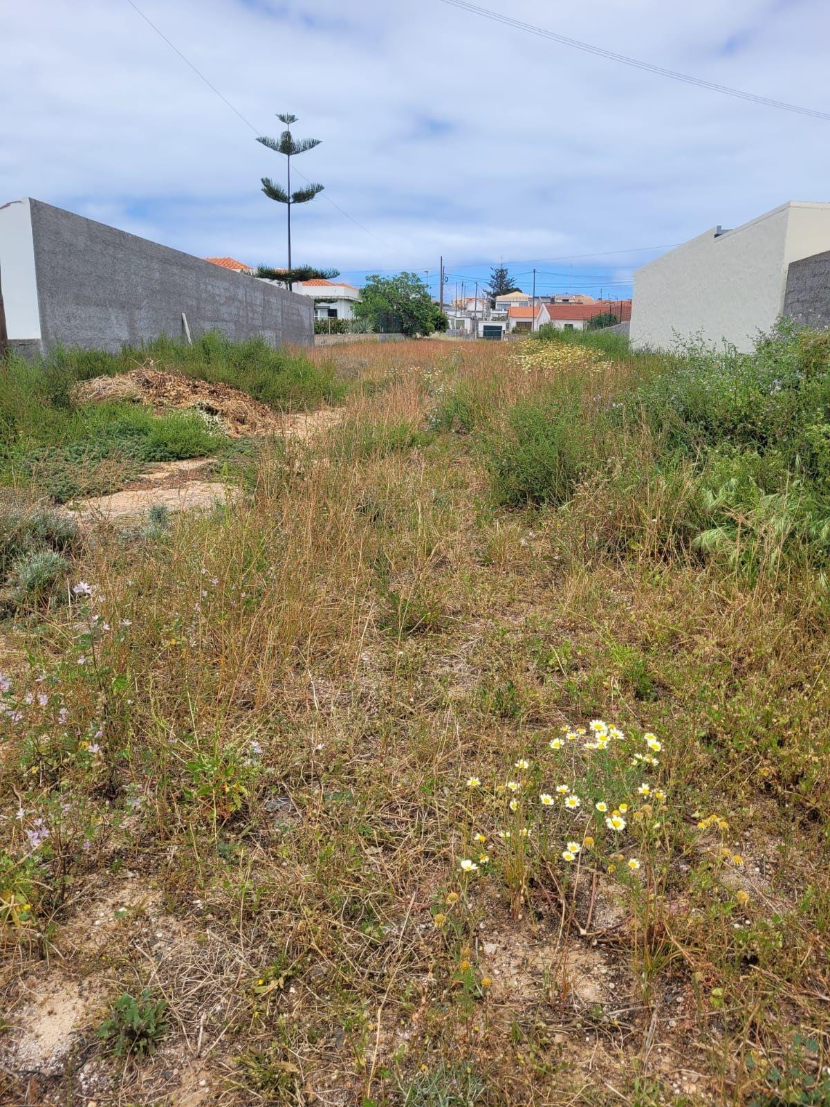 Perceel te koop op Porto Santo – Rustige ligging dicht bij strand en centrum
