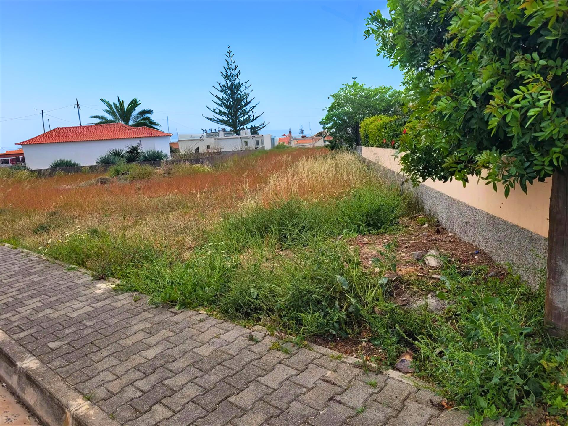 Terreno en venta en Porto Santo – Entorno natural a minutos del mar