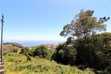 Vynikající pozemek o rozloze 4310 m2 se nachází v Caniço, Madeira