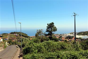 Excelente Terreno com 4310 m2 localizado no Caniço, Madeira