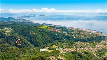 Rustic Land with 6,600 m2 - Morena, Santa Cruz, Madeira