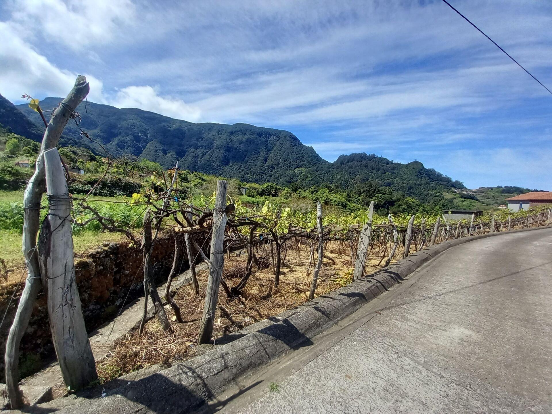 Terreno Rústico con Potencial de Construcción, Ubicado en Boaventura – São Vicente