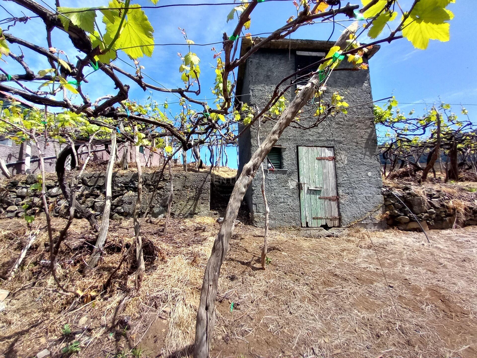 Terreno Rústico con Potencial de Construcción, Ubicado en Boaventura – São Vicente