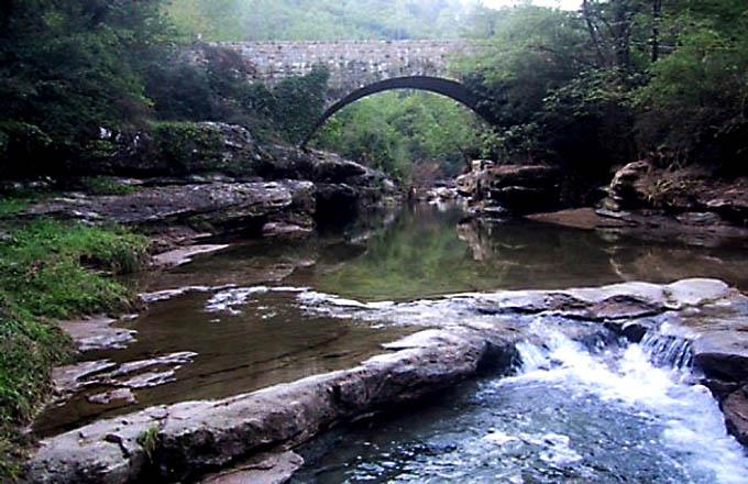 Vende Conjunto de cabañas naturales.