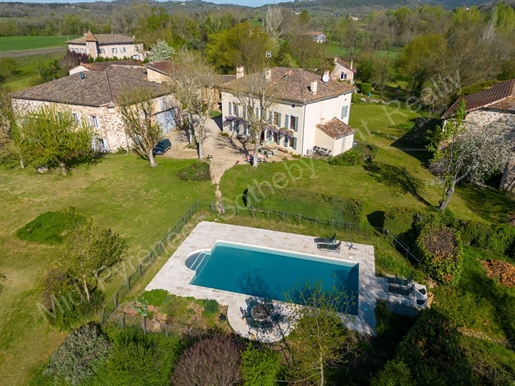 Castelnau de Montmirail, beautiful property with two houses