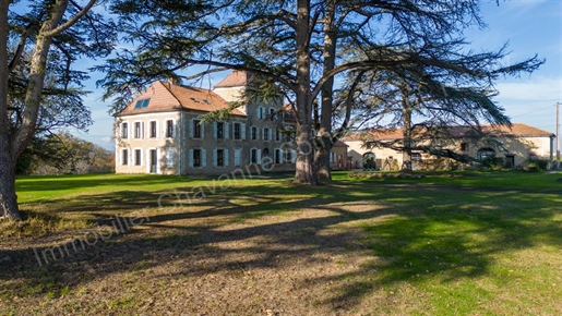 Château Gascogne inmitten der Weinberge des Südwestens