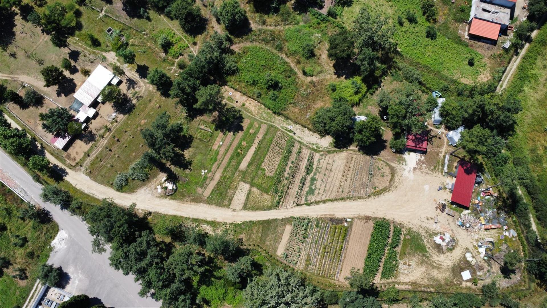 Bio Farm en evenementencentrum 
