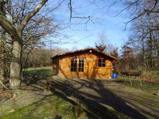 Verkoopt onroerend goed met 30 hectare en een vijver tussen St Amand Montrond en Lignières