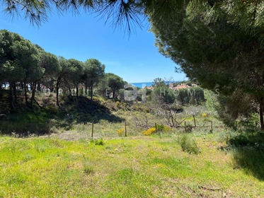 Land For Sale With Sea View In Vale Do Lobo