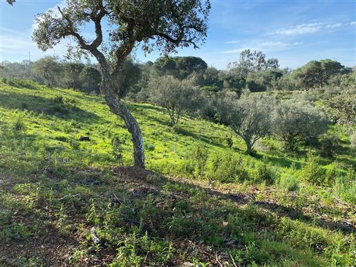 Extraordinary Land Plot With Approved Project, Melides, Comporta