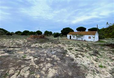 	Project Aproved, Land Plot for villa construction, Alcácer do Sal, Comporta