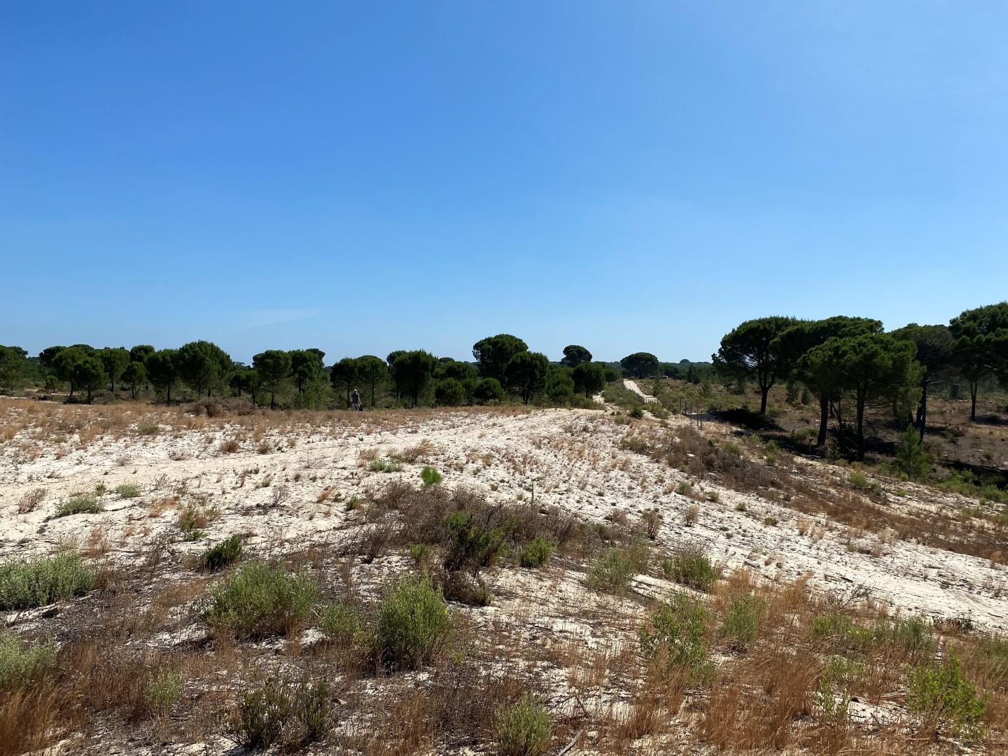 Great, Country Estate, Grândola, Alentejo