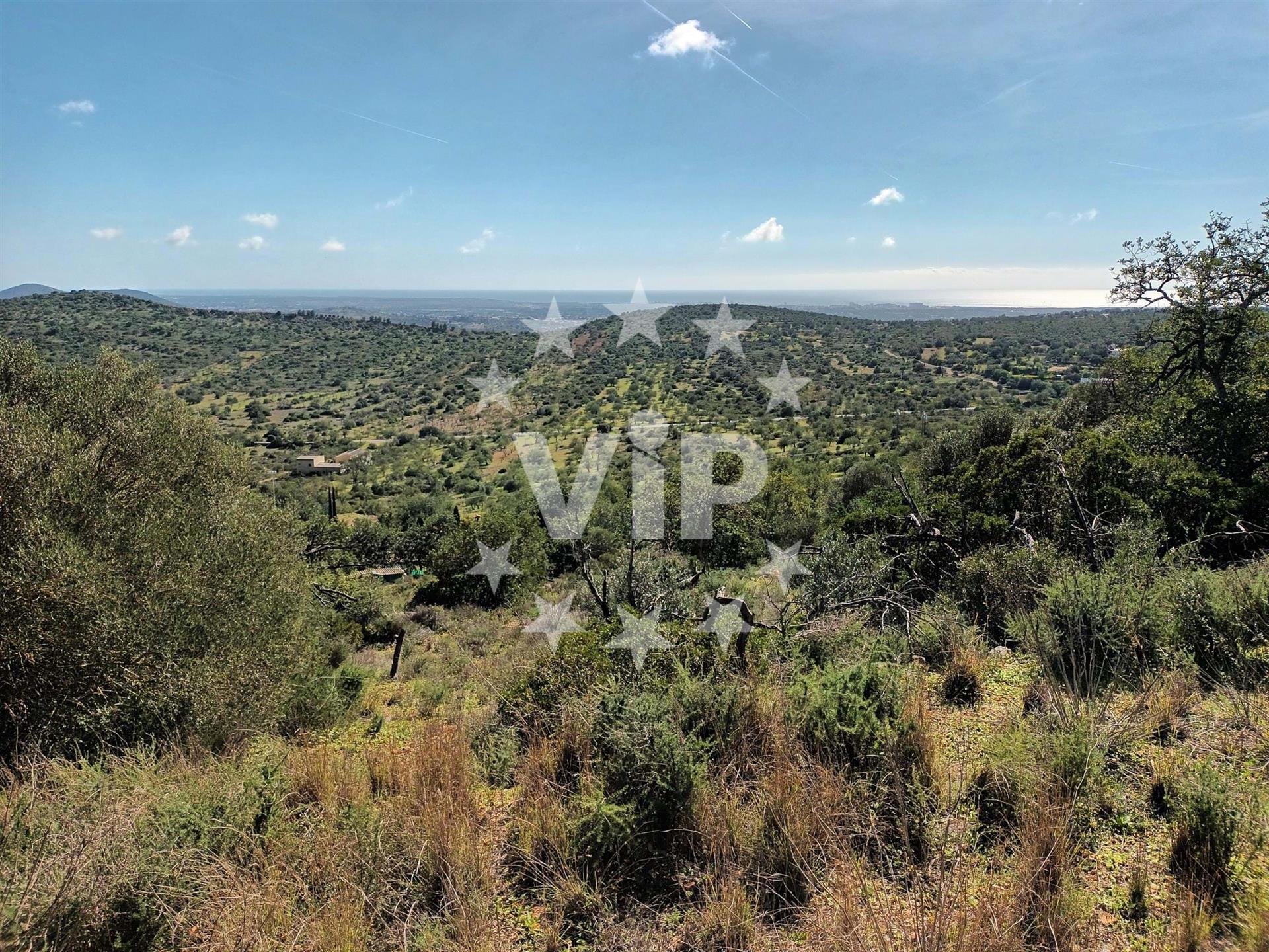 Plot With Ruin - Loule - Stunning Views - Countryside Setting - Ocean Views