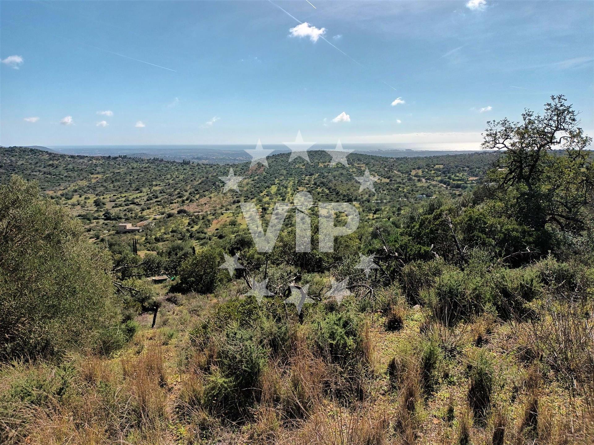 Plot With Ruin - Loule - Stunning Views - Countryside Setting - Ocean Views