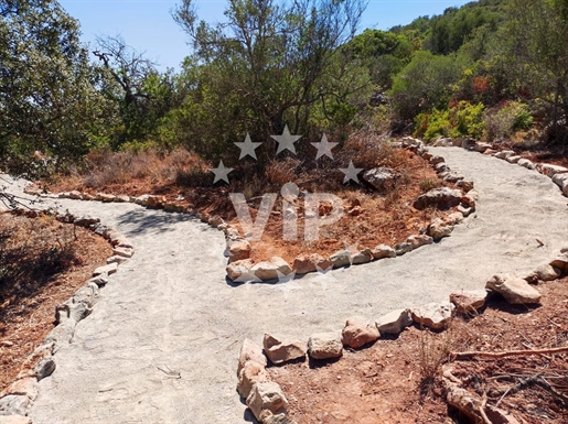 Terreno Com Ruina - Moncarapacho - Vistas Desafogadas De Campo