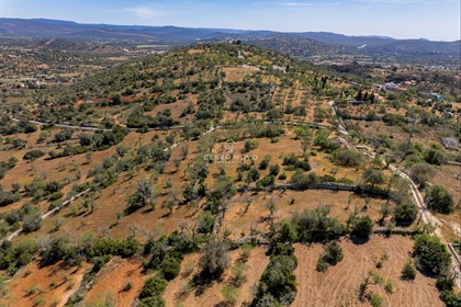 A large country (rustic) plot near Paderne, Central Algarve