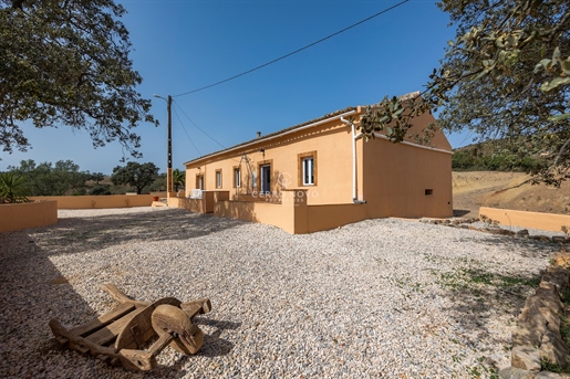 Ein ländliches Ferienhaus an der Algarve inmitten von Orangenhainen