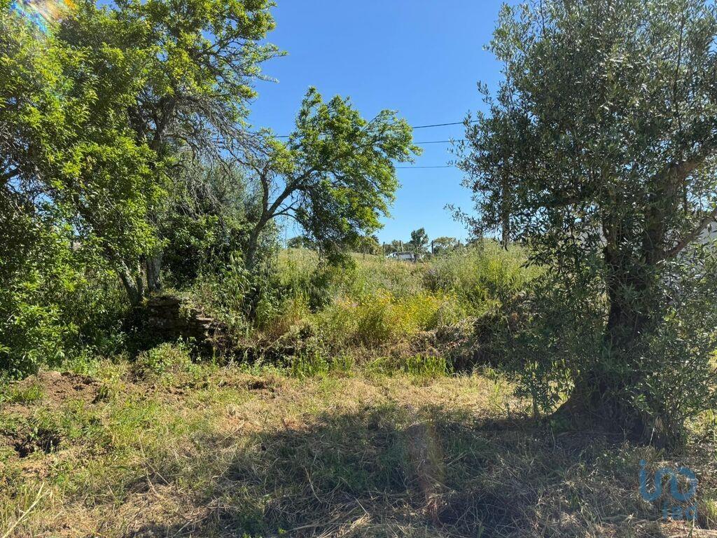 Grond in Casais e Alviobeira met 2160,00 m²