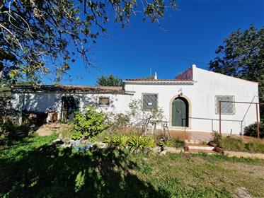 Small farm with 1.55 ha with sea and countryside views, near Faro