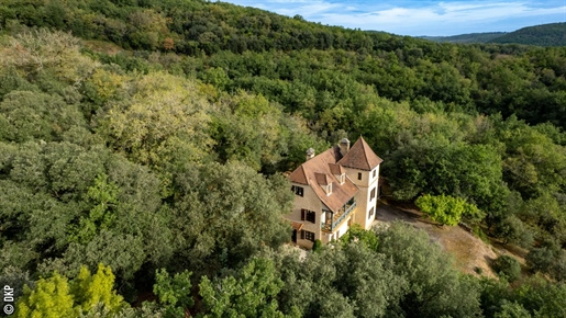 Dordogne-vallei, Périgourdine in lokale stenen, 5 slaapkamers en een prachtig uitzicht.