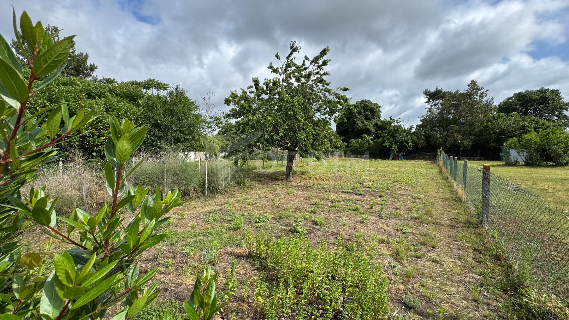 Maison à vendre, 75m², Nevers