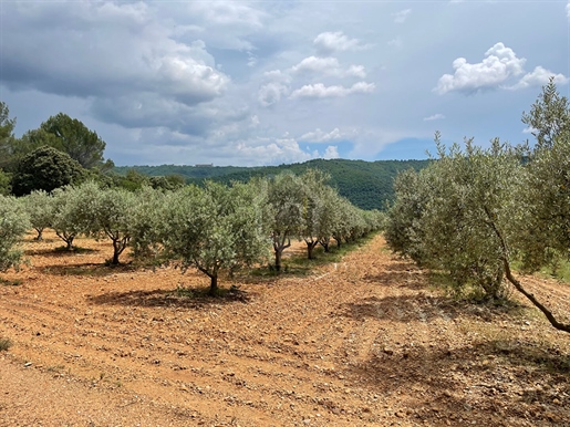 Terrain 5910m² de loisirs Brunet avec 120 oliviers et truffières