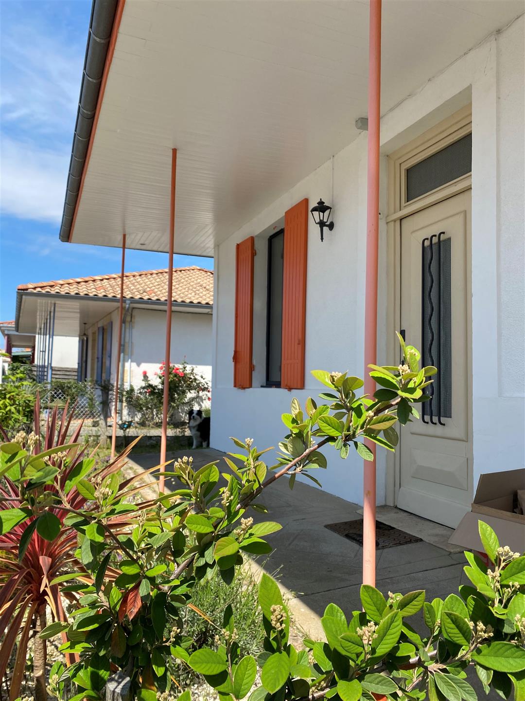Vende-se autêntico Gujannaise