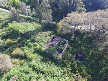 Grundstück mit Ruine zum Verkauf in Monchique