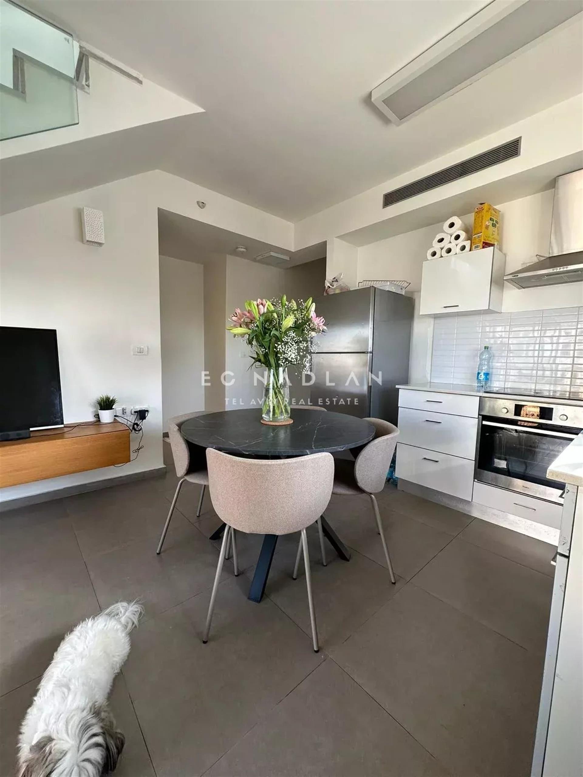 For Sale in Tel-Aviv, , Roof Apartment in Sea Quarter, Hilton side