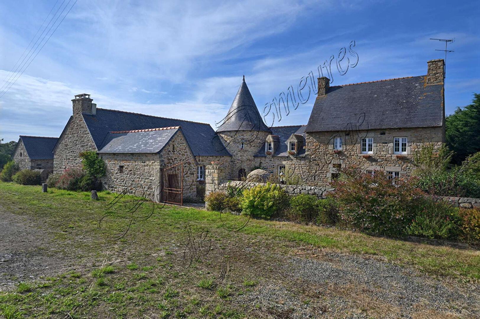 Beautiful little mansion in a quiet location