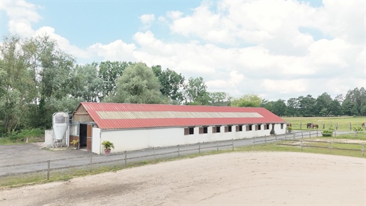 Köp: Hus (45000)