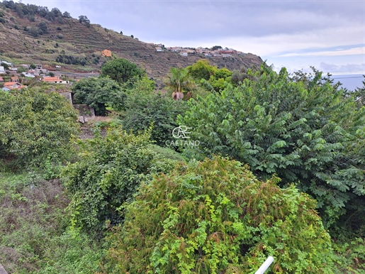Excellent Land With South-West Sea View