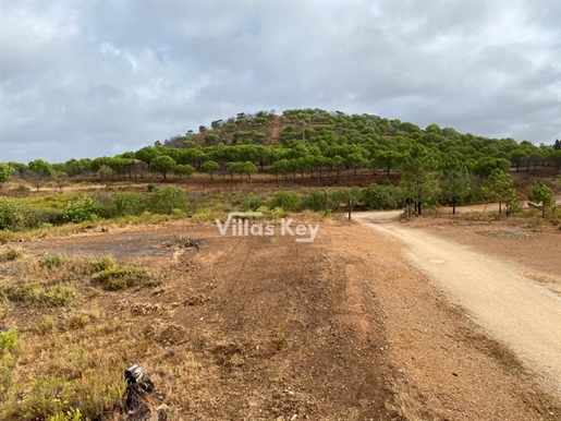 Farmstead in Silves with lots of water, ideal for agriculture.