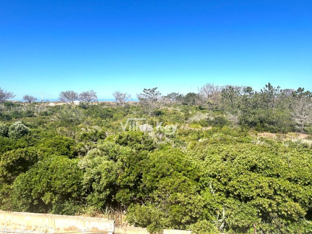 Villas in Sagres by the sea