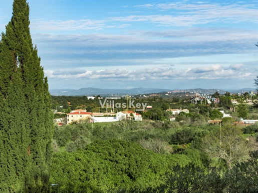 Villa con 4 camere da letto e piscina