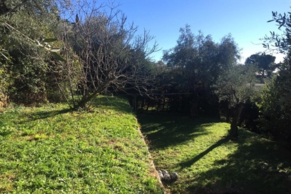 On the heights of Grasse pleasant land of 960m2 in terraces, well exposed, enjoying a .