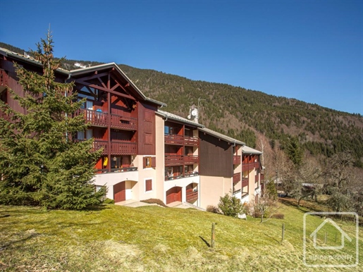 A one bedroom apartment with coin montagne and ski locker, at the foot of the ski slopes.