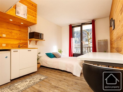 Sunny studio apartment with large balcony in Chamonix Sud, use of ski locker and private parking