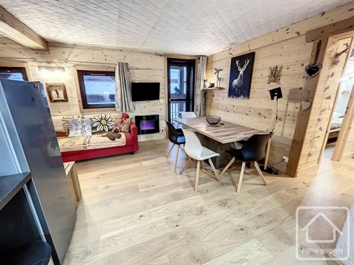 Renovated apartment, sleeps 9, 2 bathrooms, balcony & garage, in centre of Les Carroz.