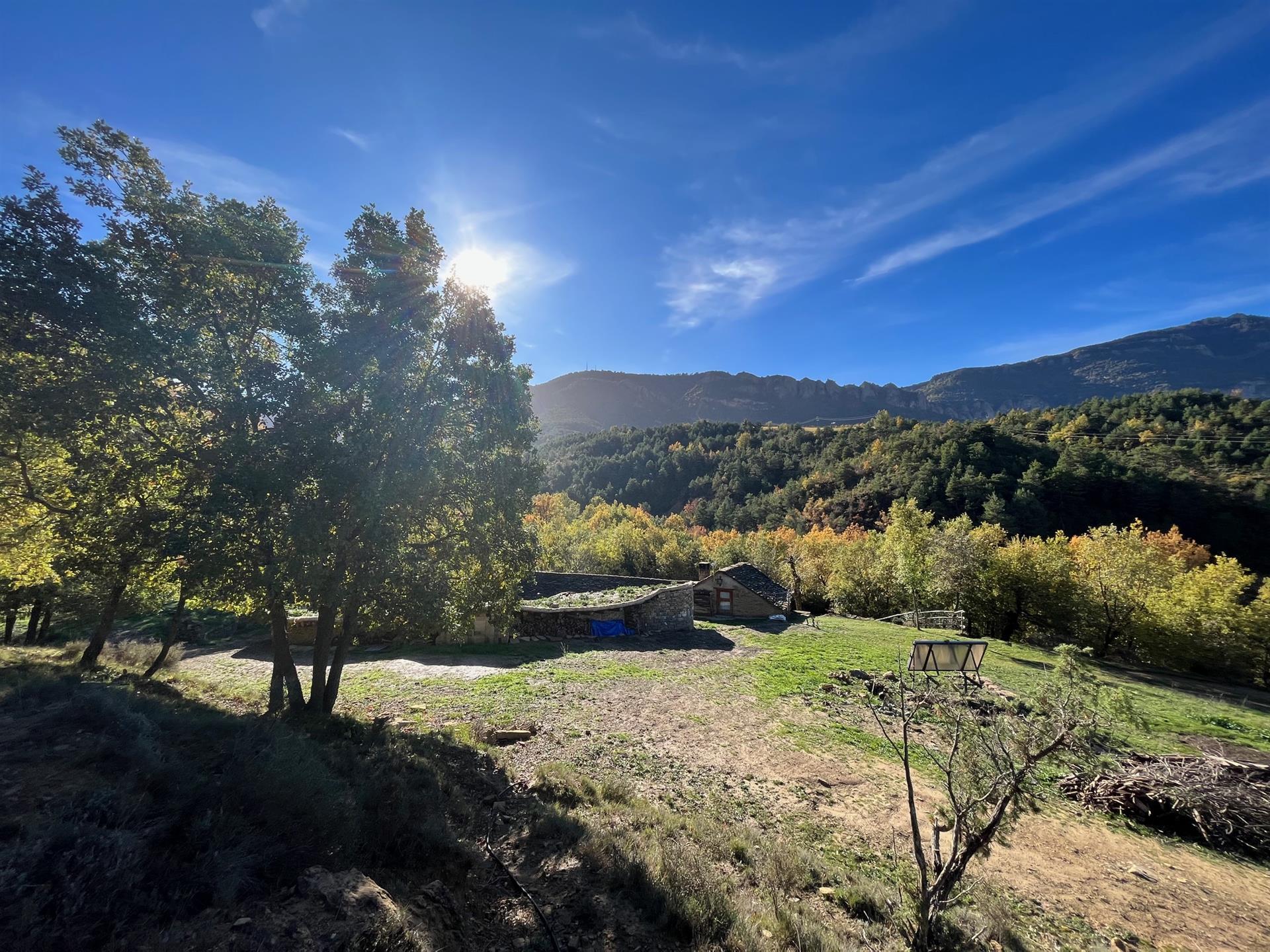 Fermă-școală și plante aromatice și medicinale din Pirinei