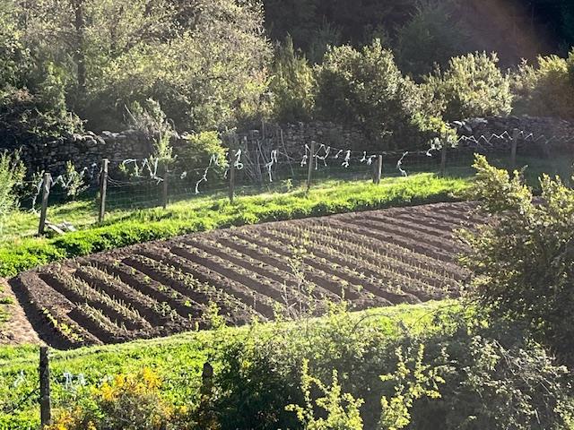 Fermă-școală și plante aromatice și medicinale din Pirinei