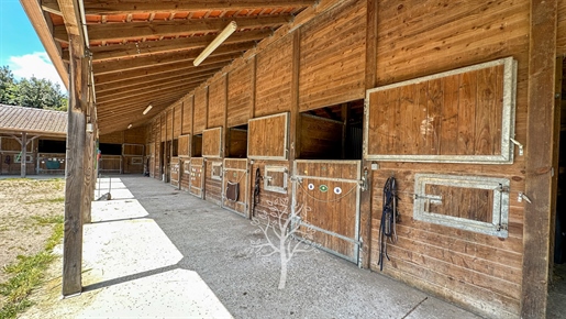 Exceptional Equestrian Property for Sale in the Boucles de la Seine Regional Park