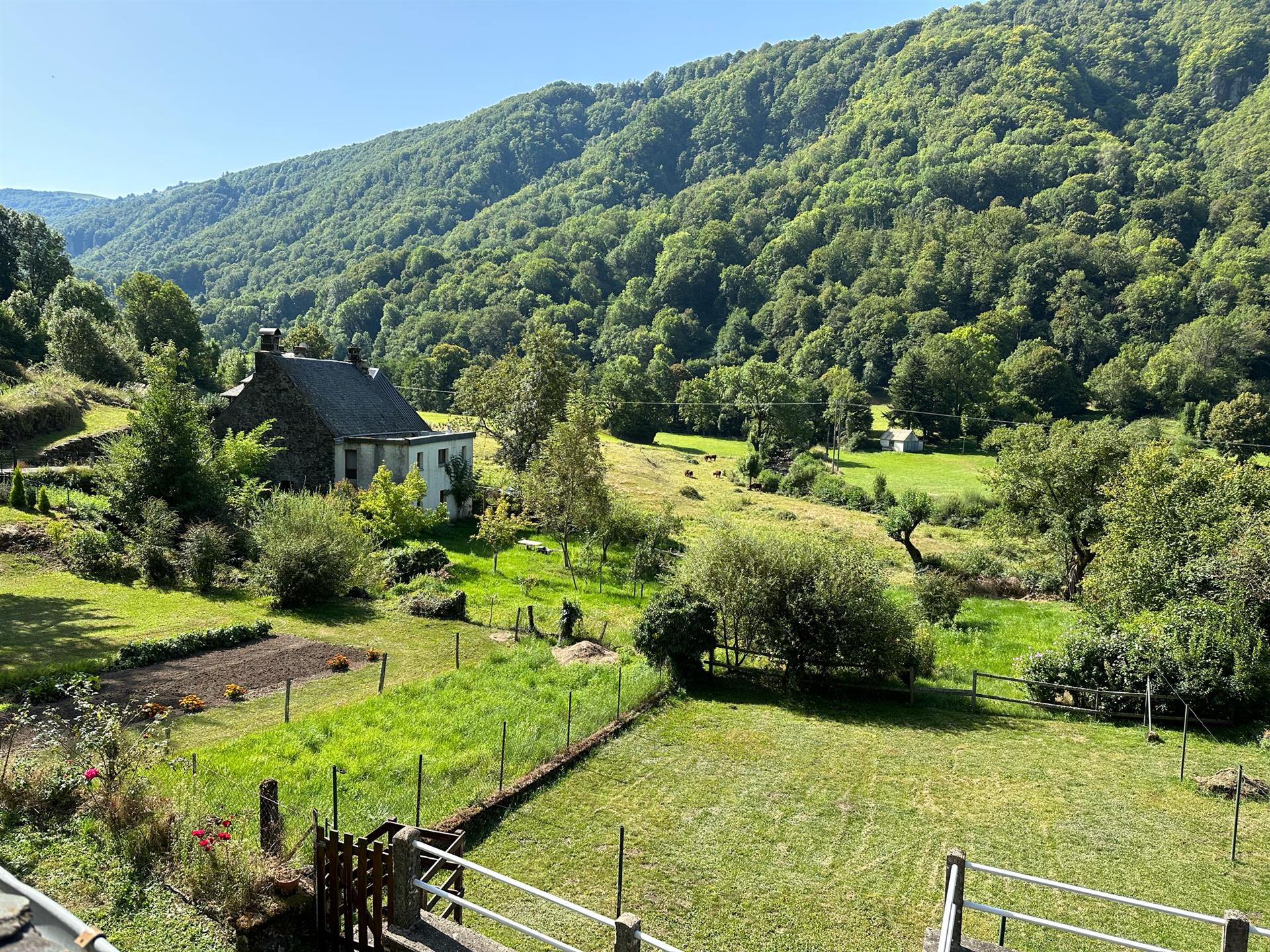Maison à vendre, 58m², Saint-Vincent-de-Salers