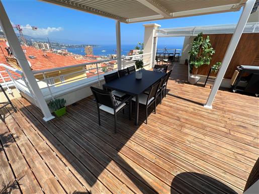 Border Monaco, roof terrace 