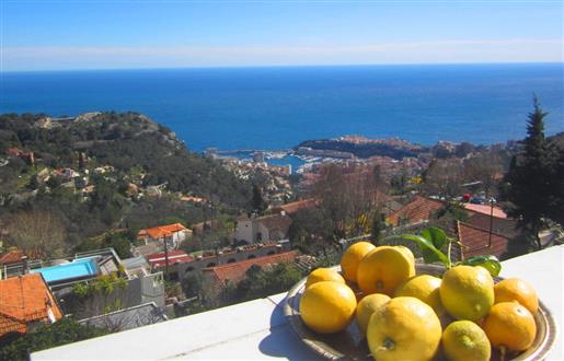 Sea view, near town center, near Monaco