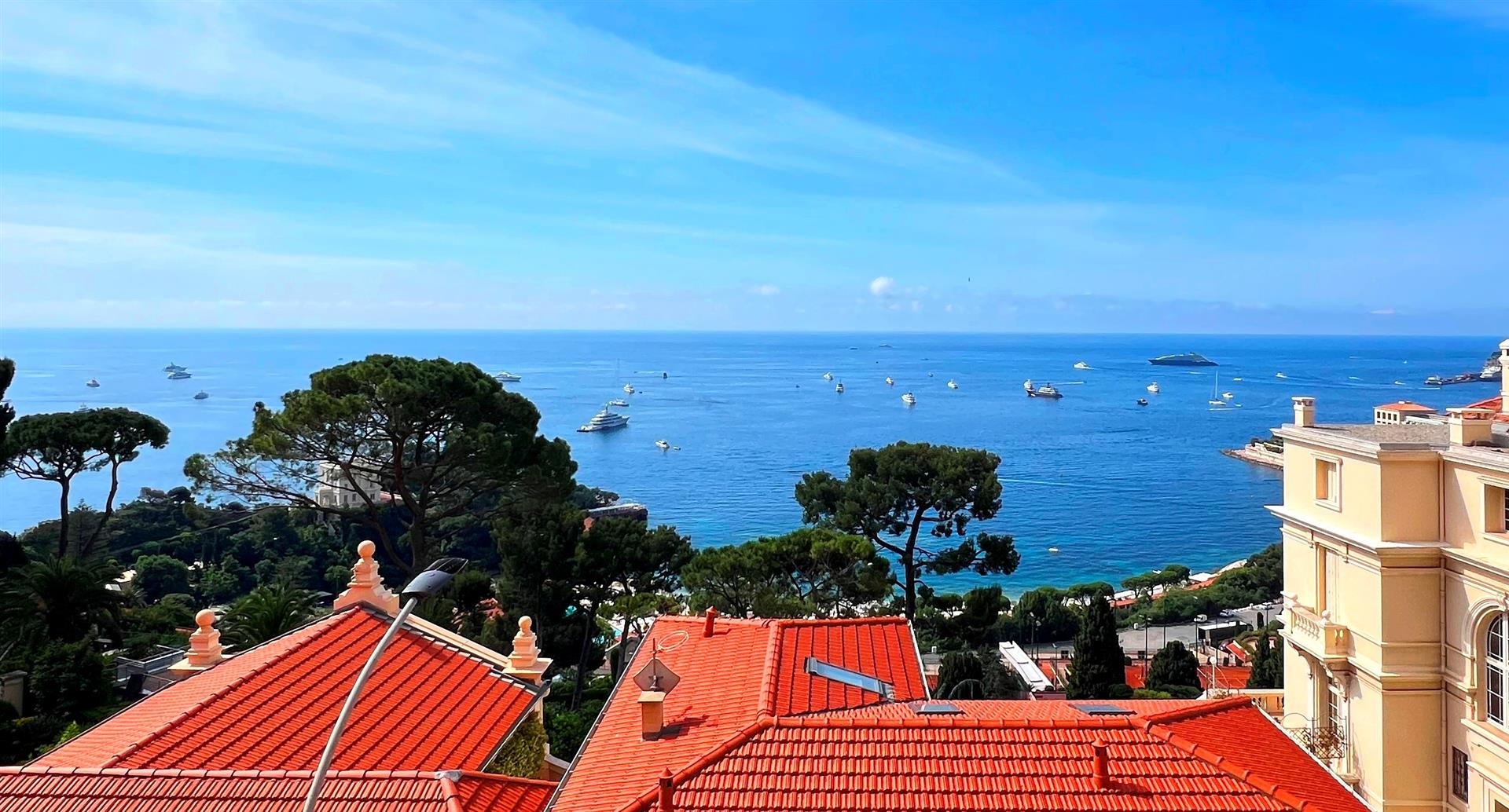 Limitrophe Monaco , vue mer