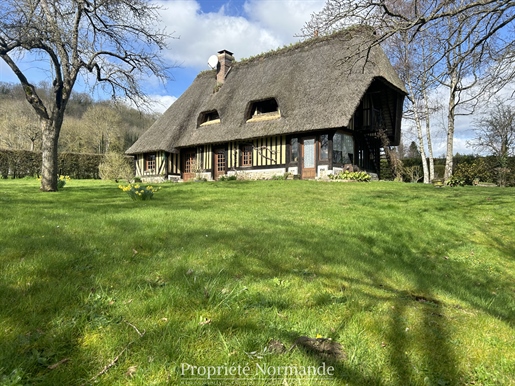 Thatched In The Countryside