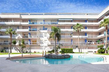 Bel appartement avec terrasse sud avec piscine commune