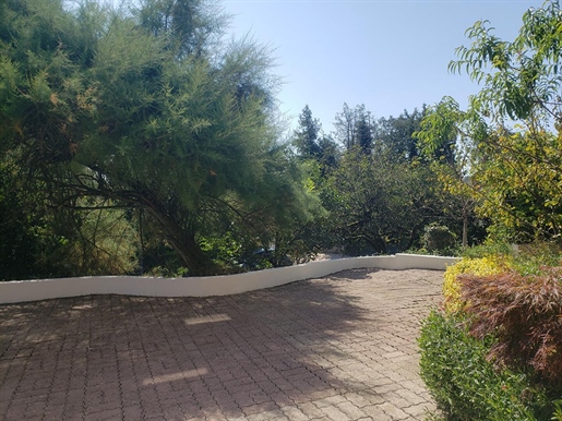 Compra: Casa (70400)