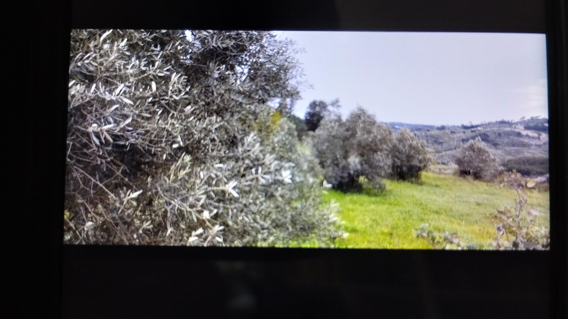 Fantástico terreno y casa en Portugal 